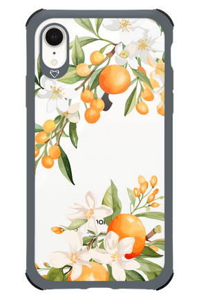 Amalfi Orange - Apple iPhone XR