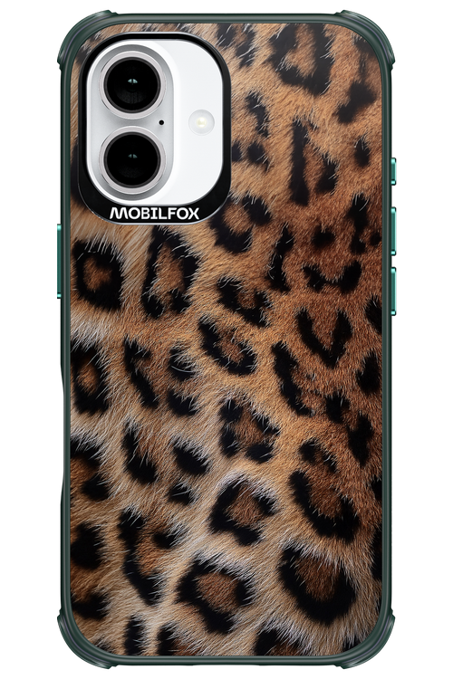 Furr Babe - Apple iPhone 16