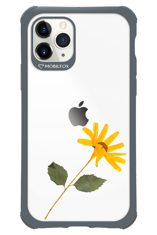Pressed Flower - Apple iPhone 11 Pro