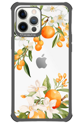 Amalfi Orange - Apple iPhone 12 Pro Max