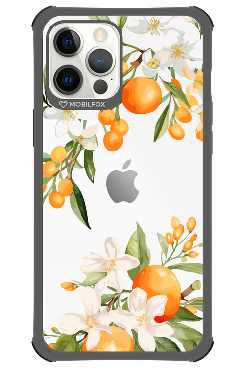 Amalfi Orange - Apple iPhone 12 Pro Max