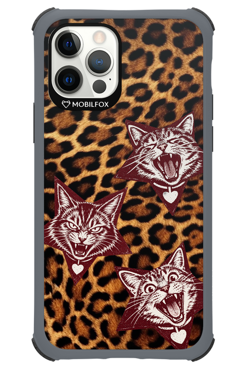 Cats and Chaos 2.0 - Apple iPhone 12 Pro