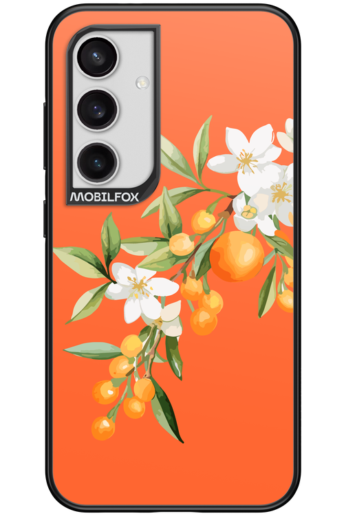 Amalfi Oranges - Samsung Galaxy S24