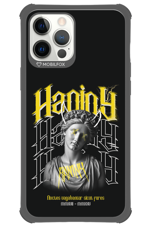 Haniny Icon (black) - Apple iPhone 12 Pro Max