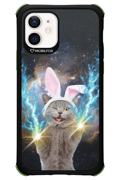 Destroy Cat - Apple iPhone 12