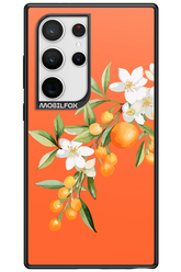 Amalfi Oranges - Samsung Galaxy S24 Ultra
