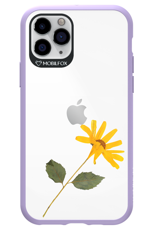 Pressed Flower - Apple iPhone 11 Pro