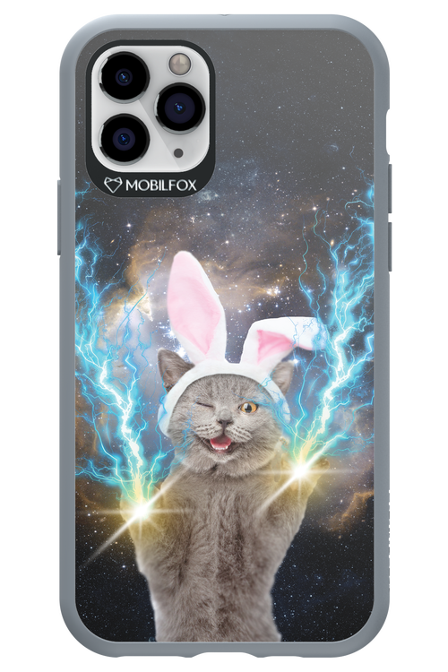 Destroy Cat - Apple iPhone 11 Pro