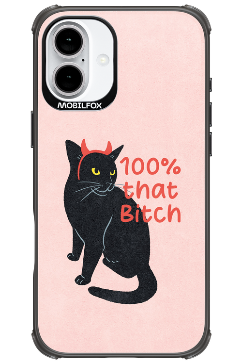 Hundred 2.0 - Apple iPhone 16 Plus
