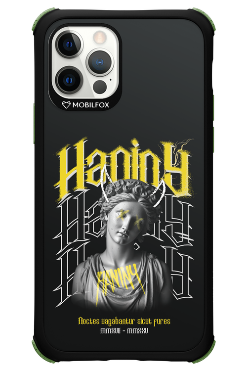 Haniny Icon (black) - Apple iPhone 12 Pro