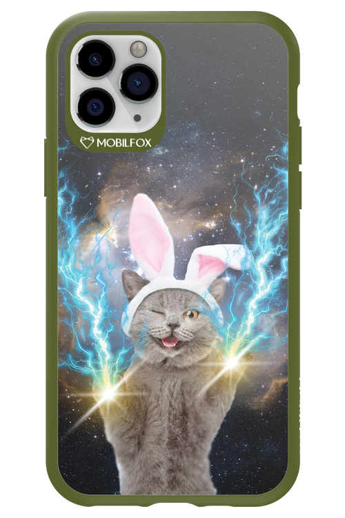 Destroy Cat - Apple iPhone 11 Pro