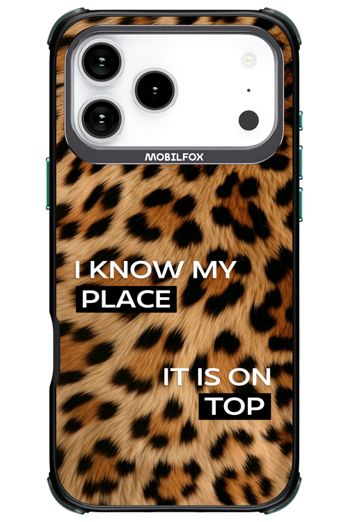 My Place - Apple iPhone 17 Pro Max