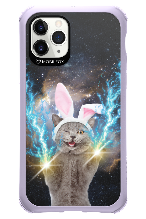 Destroy Cat - Apple iPhone 11 Pro