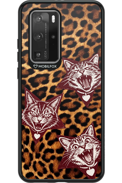 Cats and Chaos 2.0 - Huawei P40 Pro