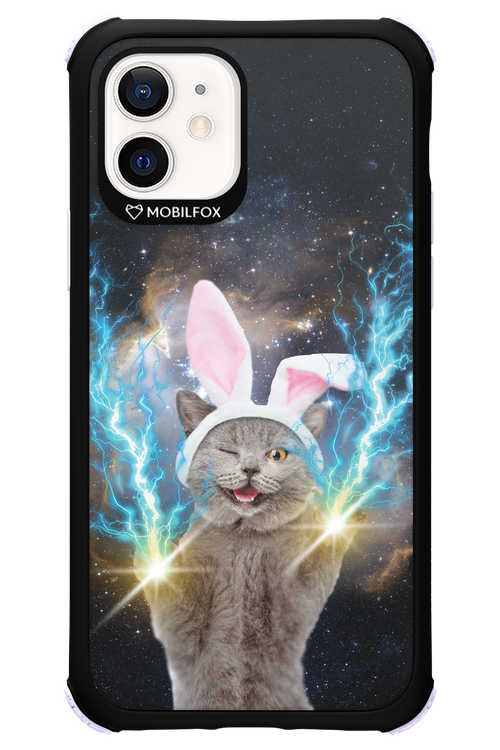 Destroy Cat - Apple iPhone 12