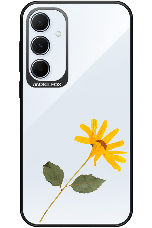 Pressed Flower - Samsung Galaxy A55