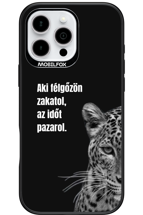 Value Of Time - Apple iPhone 16 Pro Max