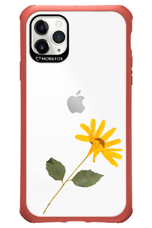 Pressed Flower - Apple iPhone 11 Pro Max