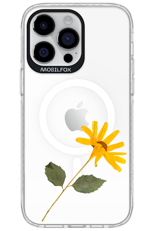 Pressed Flower - Apple iPhone 14 Pro Max