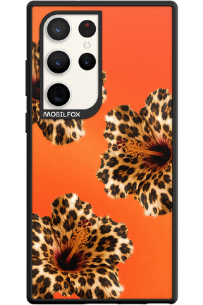 Sun Purr 2.0 - Samsung Galaxy S23 Ultra