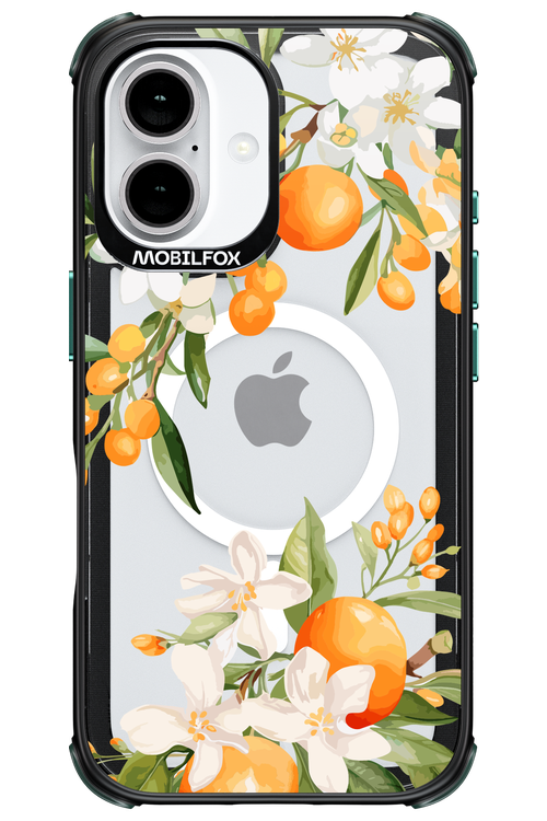 Amalfi Orange - Apple iPhone 16