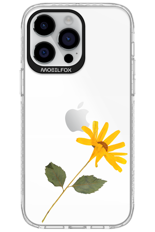 Pressed Flower - Apple iPhone 14 Pro Max