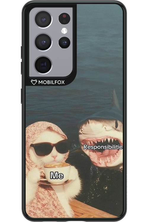 Responsibilities - Samsung Galaxy S21 Ultra