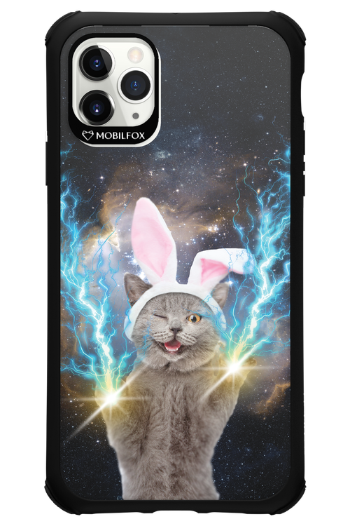 Destroy Cat - Apple iPhone 11 Pro Max