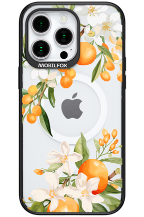 Amalfi Orange - Apple iPhone 15 Pro Max