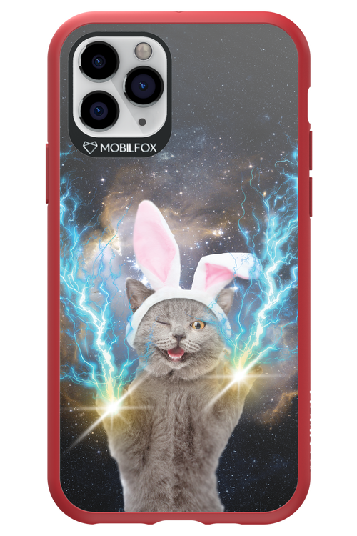 Destroy Cat - Apple iPhone 11 Pro