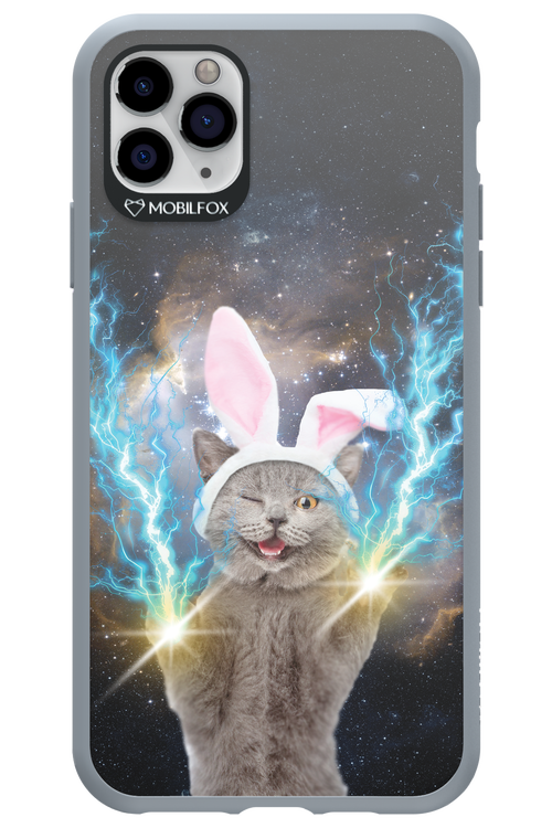 Destroy Cat - Apple iPhone 11 Pro Max