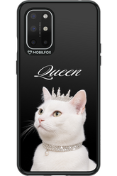 Queen 2.0 - OnePlus 8T
