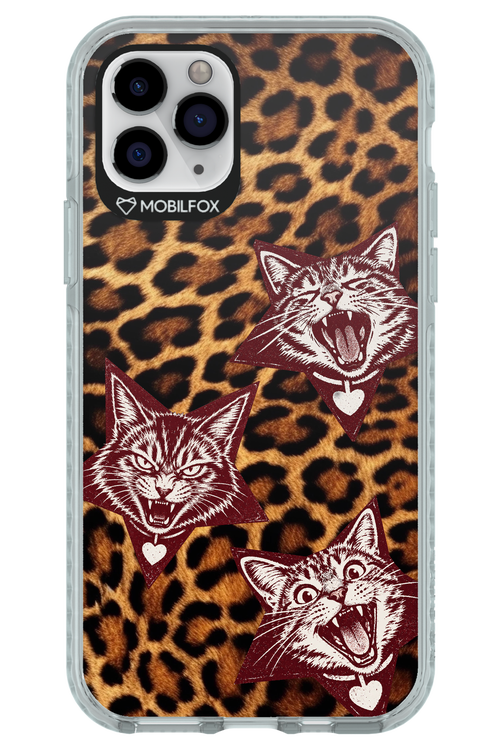 Cats and Chaos 2.0 - Apple iPhone 11 Pro
