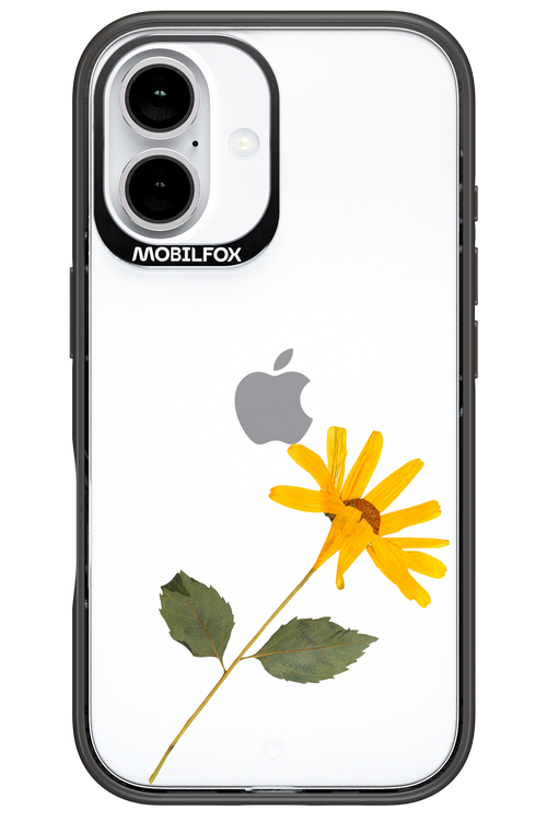 Pressed Flower - Apple iPhone 16