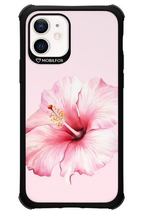 HibiPinky - Apple iPhone 12