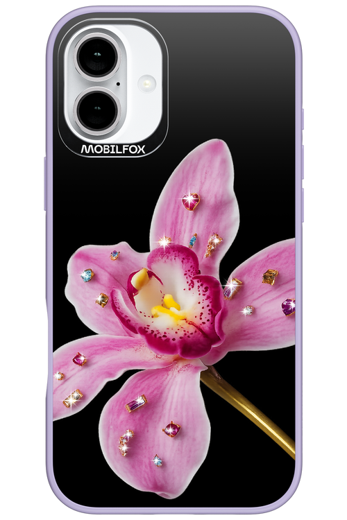 Pink Hibiscus 2.0 - Apple iPhone 16 Plus