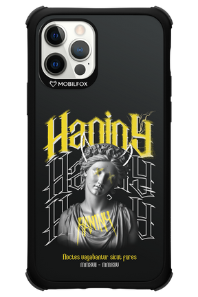 Haniny Icon (black) - Apple iPhone 12 Pro