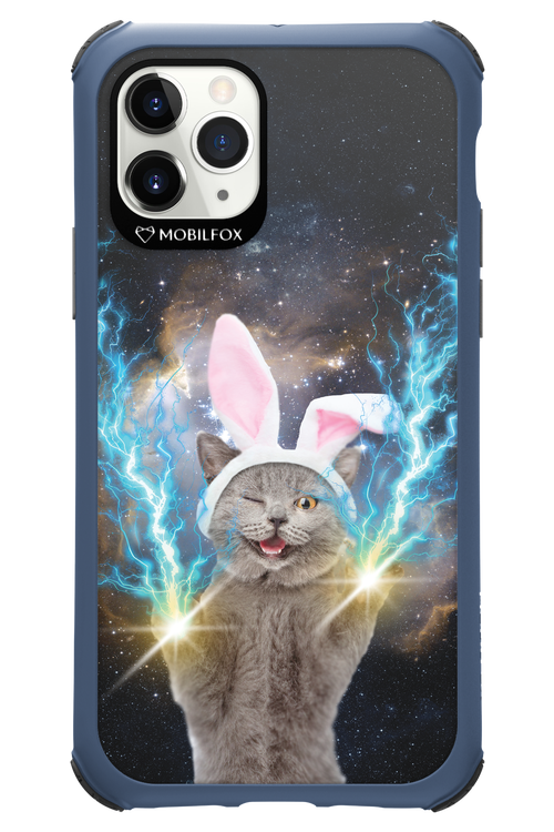 Destroy Cat - Apple iPhone 11 Pro