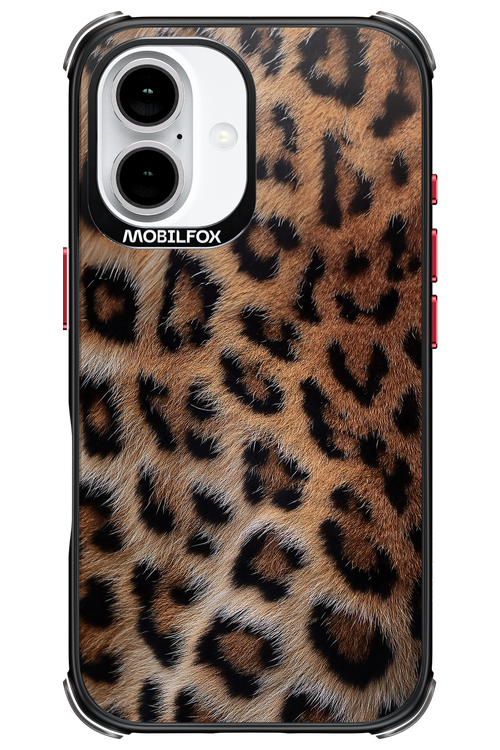 Furr Babe - Apple iPhone 16