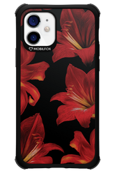 Amaryllis Noir - Apple iPhone 12