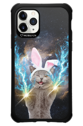 Destroy Cat - Apple iPhone 11 Pro