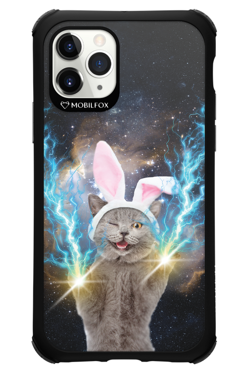 Destroy Cat - Apple iPhone 11 Pro