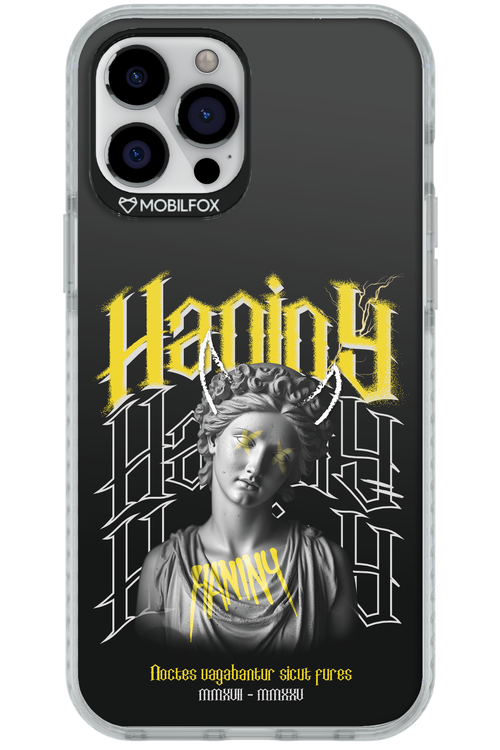 Haniny Icon (black) - Apple iPhone 12 Pro Max