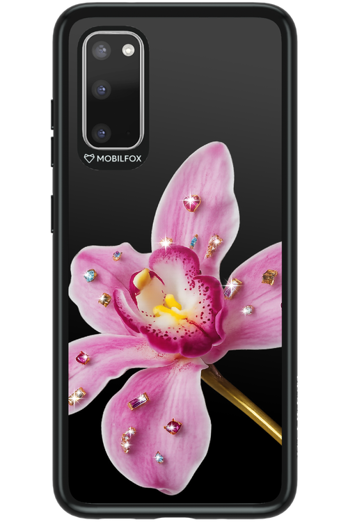 Pink Hibiscus 2.0 - Samsung Galaxy S20