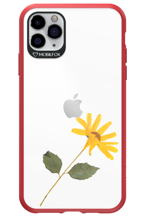 Pressed Flower - Apple iPhone 11 Pro Max