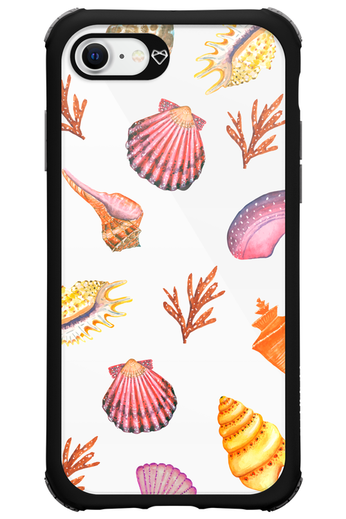 Sea Shells - Apple iPhone 8