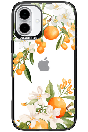 Amalfi Orange - Apple iPhone 16 Plus