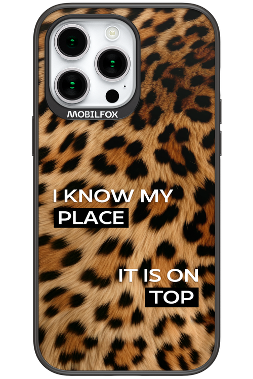 My Place - Apple iPhone 15 Pro Max