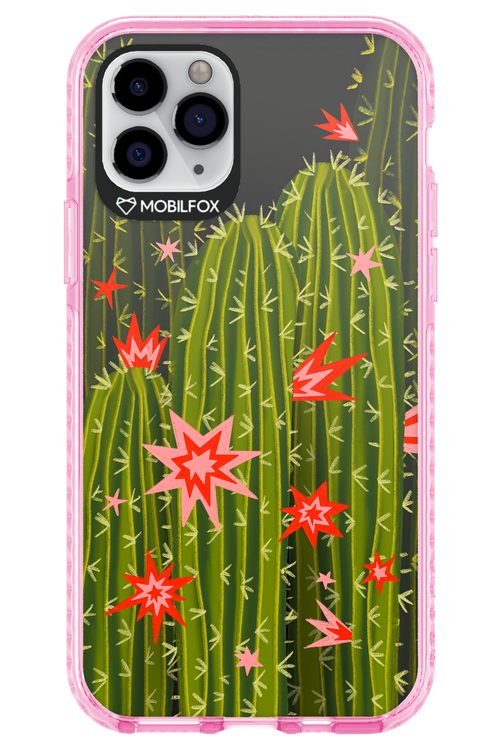 Cactus bloom 2.0 - Apple iPhone 11 Pro