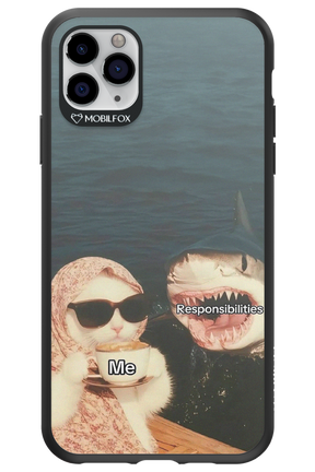 Responsibilities - Apple iPhone 11 Pro Max